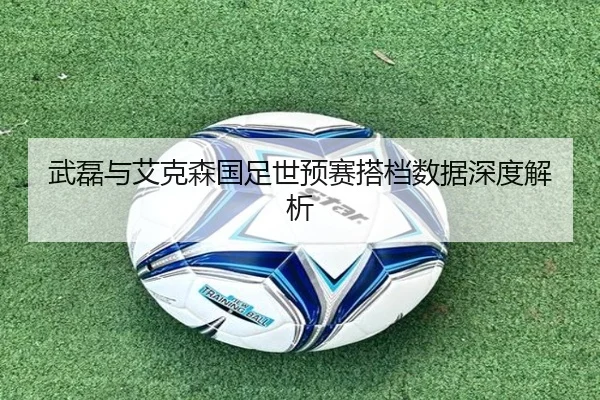 武磊与艾克森国足世预赛搭档数据深度解析 - oubo